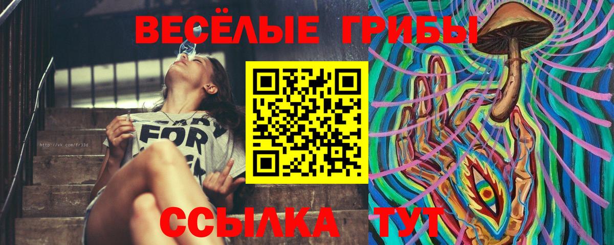 Псилоцибиновые грибы прущие грибы Ахтубинск
