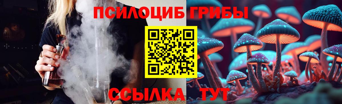 цена   Псилоцибиновые грибы мицелий  Вход с VPN  Галлюциногенные грибы GOLDEN TEACHER  Ахтубинск 